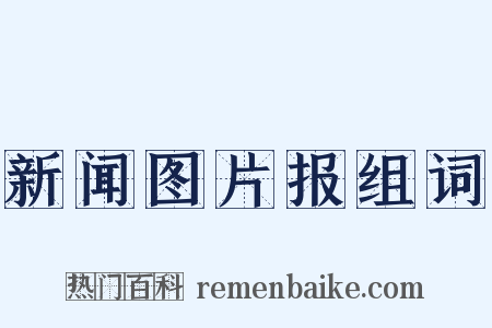 新闻图片报组词是什么意思的图片